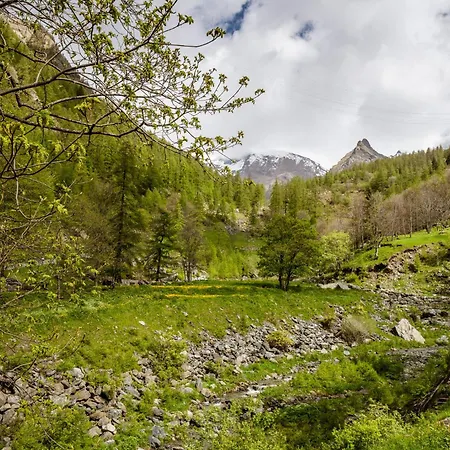 Holiday home Con Vista Sulla Valle Soana